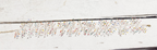 Gargantilla Choker acero dorado alambre colorines mini