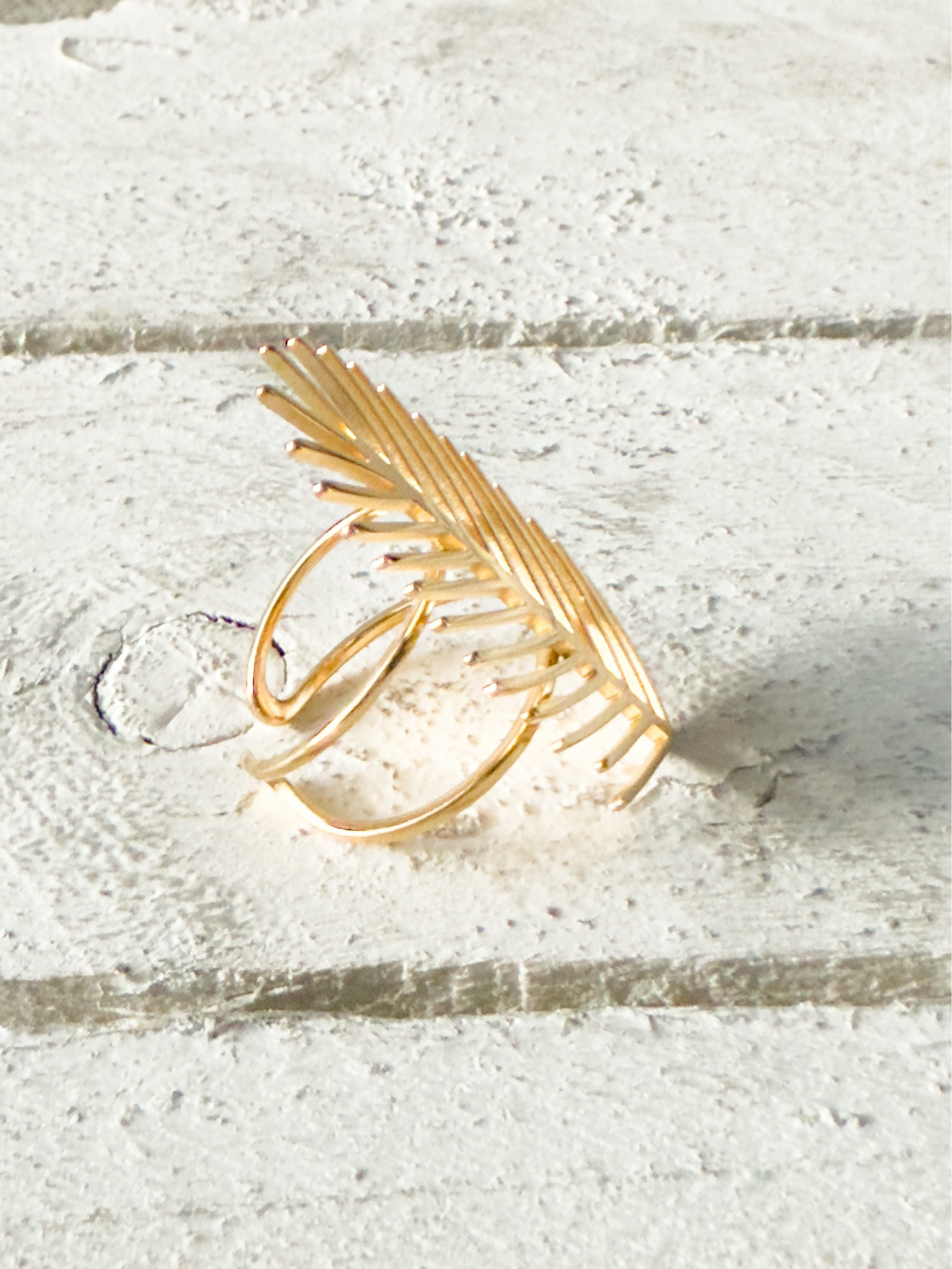 Anillo hoja rama
