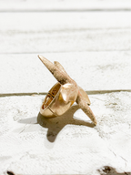 Anillo estrella dorado elástico