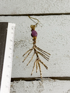 Pendientes rama berenjena