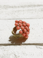 Anillo alambre quisquilla