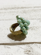 Anillo alambre agua
