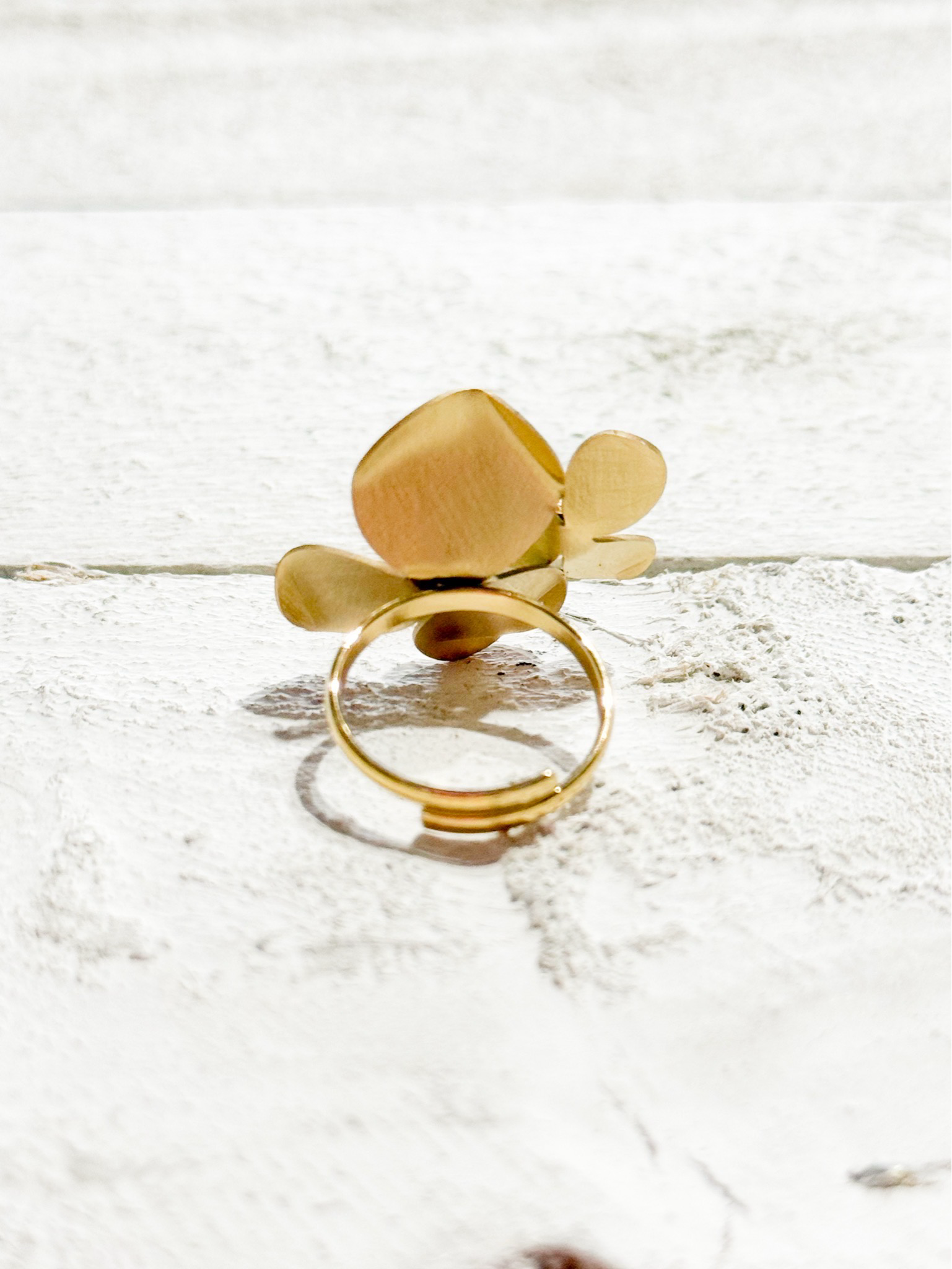Anillo doble flor